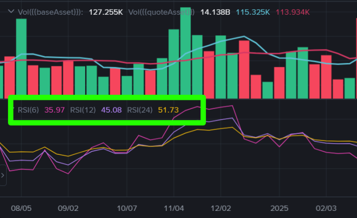 Prikaz RSI indikatorja pri Spot trgovanju na menjalnici Binance