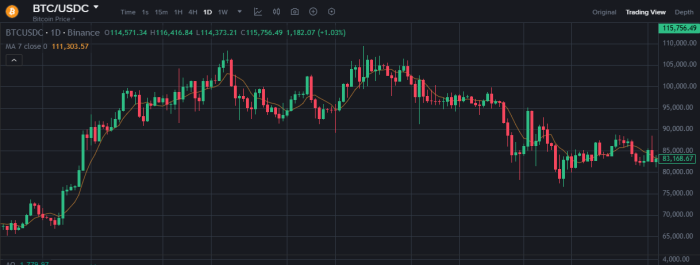 Svečni grafikon pri trgovanju s kriptovalutami - prikaz sveč in podatkov