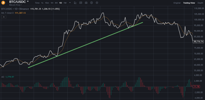 Vzgornji trend kaže na rast kriptovalute na grafu v izbranem obdobju